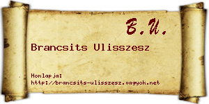 Brancsits Ulisszesz névjegykártya